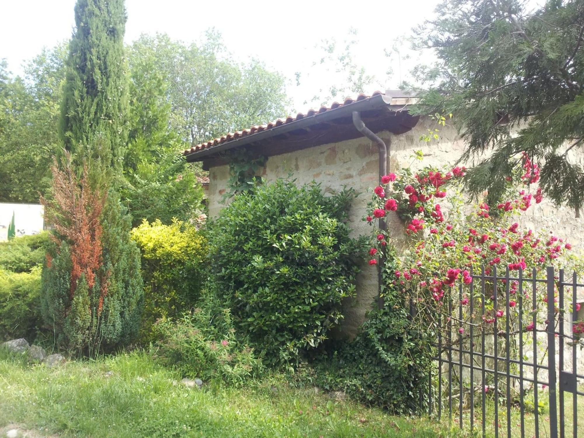Fattoria Il Praticino - Metato Villa Castelfranco di Sopra Bagian luar foto